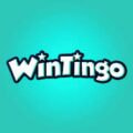 Wintingo
